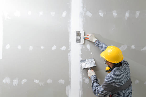Mold Odor Removal Services in Freeport, PA